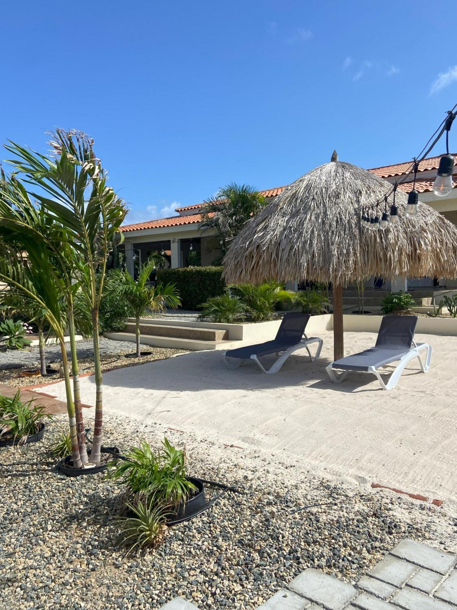 Pura Vida Aruba Appartement Palma Noord Exterior photo